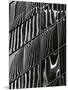 Building Reflection, c. 1975-Brett Weston-Mounted Photographic Print