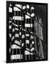 Building Reflection, c. 1980-Brett Weston-Framed Photographic Print