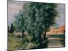 Building Site with Willows, 1846-Adolph Friedrich von Menzel-Mounted Giclee Print