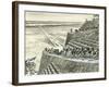 Building the Great Pyramid at Giza-Peter Jackson-Framed Giclee Print