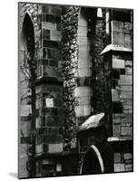 Building Wall, Europe, c. 1970-Brett Weston-Mounted Photographic Print