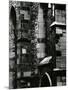 Building Wall, Europe, c. 1970-Brett Weston-Mounted Photographic Print