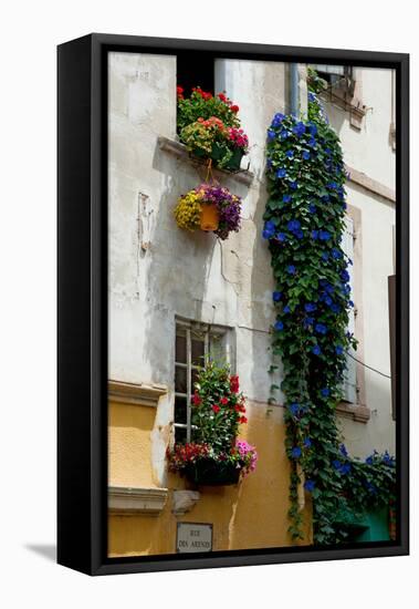 Building with Flower Pots on Each Window, Rue Des Arenes, Arles, Bouches-Du-Rhone-null-Framed Stretched Canvas