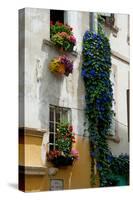 Building with Flower Pots on Each Window, Rue Des Arenes, Arles, Bouches-Du-Rhone-null-Stretched Canvas