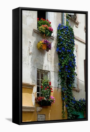 Building with Flower Pots on Each Window, Rue Des Arenes, Arles, Bouches-Du-Rhone-null-Framed Stretched Canvas