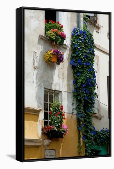 Building with Flower Pots on Each Window, Rue Des Arenes, Arles, Bouches-Du-Rhone-null-Framed Stretched Canvas