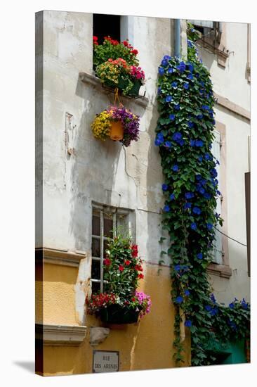 Building with Flower Pots on Each Window, Rue Des Arenes, Arles, Bouches-Du-Rhone-null-Stretched Canvas