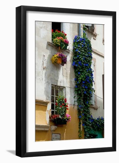 Building with Flower Pots on Each Window, Rue Des Arenes, Arles, Bouches-Du-Rhone-null-Framed Premium Photographic Print