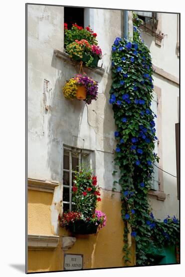 Building with Flower Pots on Each Window, Rue Des Arenes, Arles, Bouches-Du-Rhone-null-Mounted Premium Photographic Print