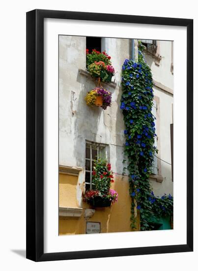 Building with Flower Pots on Each Window, Rue Des Arenes, Arles, Bouches-Du-Rhone-null-Framed Photographic Print