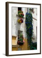 Building with Flower Pots on Each Window, Rue Des Arenes, Arles, Bouches-Du-Rhone-null-Framed Photographic Print