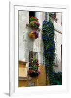 Building with Flower Pots on Each Window, Rue Des Arenes, Arles, Bouches-Du-Rhone-null-Framed Photographic Print