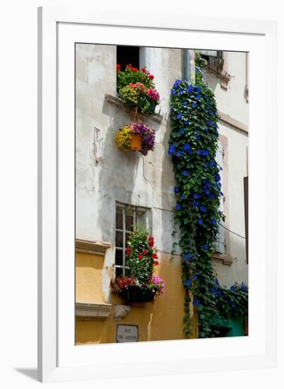 Building with Flower Pots on Each Window, Rue Des Arenes, Arles, Bouches-Du-Rhone-null-Framed Photographic Print