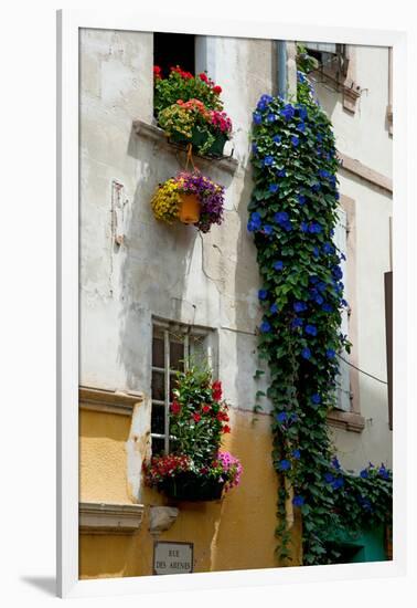 Building with Flower Pots on Each Window, Rue Des Arenes, Arles, Bouches-Du-Rhone-null-Framed Photographic Print