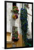 Building with Flower Pots on Each Window, Rue Des Arenes, Arles, Bouches-Du-Rhone-null-Framed Photographic Print