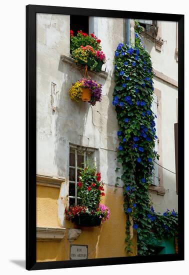 Building with Flower Pots on Each Window, Rue Des Arenes, Arles, Bouches-Du-Rhone-null-Framed Photographic Print