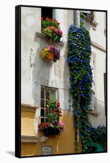 Building with Flower Pots on Each Window, Rue Des Arenes, Arles, Bouches-Du-Rhone-null-Framed Stretched Canvas