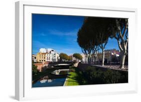 Buildings Along the Basse Riverfront, Perpignan, Pyrenees-Orientales, Languedoc-Roussillon, France-null-Framed Photographic Print