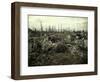 Buildings and Trees Destroyed by Artillery Fire, Chaulnes, Somme, France, 1917-Fernand Cuville-Framed Premium Giclee Print