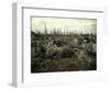 Buildings and Trees Destroyed by Artillery Fire, Chaulnes, Somme, France, 1917-Fernand Cuville-Framed Premium Giclee Print