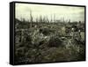 Buildings and Trees Destroyed by Artillery Fire, Chaulnes, Somme, France, 1917-Fernand Cuville-Framed Stretched Canvas