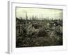 Buildings and Trees Destroyed by Artillery Fire, Chaulnes, Somme, France, 1917-Fernand Cuville-Framed Giclee Print