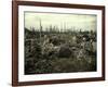 Buildings and Trees Destroyed by Artillery Fire, Chaulnes, Somme, France, 1917-Fernand Cuville-Framed Giclee Print