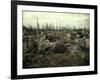 Buildings and Trees Destroyed by Artillery Fire, Chaulnes, Somme, France, 1917-Fernand Cuville-Framed Giclee Print