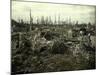 Buildings and Trees Destroyed by Artillery Fire, Chaulnes, Somme, France, 1917-Fernand Cuville-Mounted Giclee Print