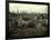 Buildings and Trees Destroyed by Artillery Fire, Chaulnes, Somme, France, 1917-Fernand Cuville-Framed Giclee Print