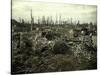 Buildings and Trees Destroyed by Artillery Fire, Chaulnes, Somme, France, 1917-Fernand Cuville-Stretched Canvas