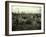 Buildings and Trees Destroyed by Artillery Fire, Chaulnes, Somme, France, 1917-Fernand Cuville-Framed Giclee Print