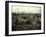 Buildings and Trees Destroyed by Artillery Fire, Chaulnes, Somme, France, 1917-Fernand Cuville-Framed Giclee Print