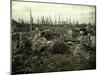Buildings and Trees Destroyed by Artillery Fire, Chaulnes, Somme, France, 1917-Fernand Cuville-Mounted Giclee Print
