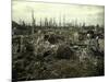 Buildings and Trees Destroyed by Artillery Fire, Chaulnes, Somme, France, 1917-Fernand Cuville-Mounted Giclee Print