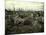 Buildings and Trees Destroyed by Artillery Fire, Chaulnes, Somme, France, 1917-Fernand Cuville-Mounted Giclee Print