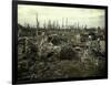 Buildings and Trees Destroyed by Artillery Fire, Chaulnes, Somme, France, 1917-Fernand Cuville-Framed Giclee Print