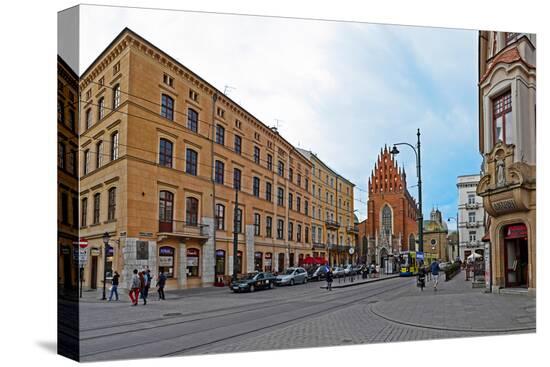 Stretched Canvas Print, , large