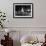 Buildings at Panama-Pacific International Exposition-null-Framed Photographic Print displayed on a wall