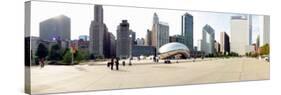 Buildings in a City, Millennium Park, Chicago, Illinois, USA-null-Stretched Canvas