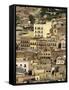 Buildings in Zacatecas, a Mining City and Capital of Zacatecas State, Mexico, North America-Robert Francis-Framed Stretched Canvas