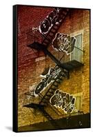Buildings - Stairs - Emergency - New York City - United States-Philippe Hugonnard-Framed Stretched Canvas