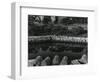 Buildings, Water, Wall, Reflections, c.1970-Brett Weston-Framed Photographic Print