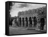 Buildwas Abbey-Fred Musto-Framed Stretched Canvas