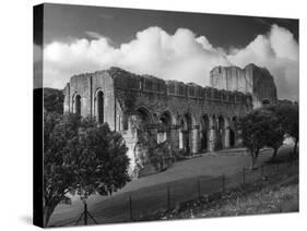 Buildwas Abbey-Fred Musto-Stretched Canvas