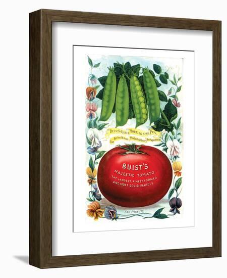 Buist's Majestic Tomato-null-Framed Art Print