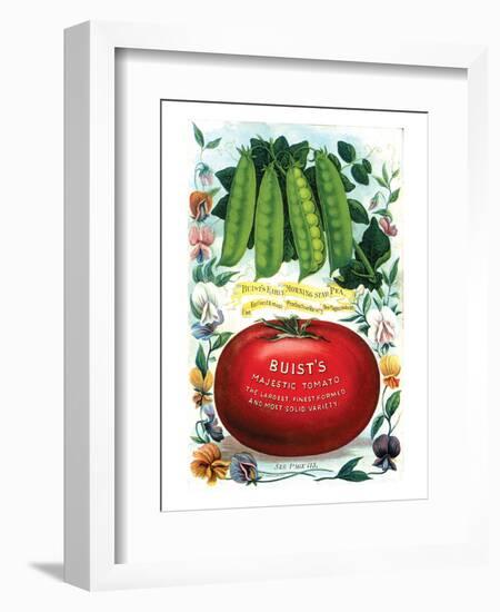 Buist's Majestic Tomato-null-Framed Art Print