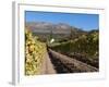 Buitenverwachting Wine Farm, Constantia, Cape Province, South Africa, Africa-Sergio Pitamitz-Framed Photographic Print