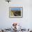 Buitenverwachting Wine Farm, Constantia, Cape Province, South Africa, Africa-Sergio Pitamitz-Framed Photographic Print displayed on a wall