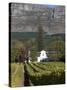 Buitenverwachting Wine Farm, Constantia, Cape Province, South Africa, Africa-Sergio Pitamitz-Stretched Canvas